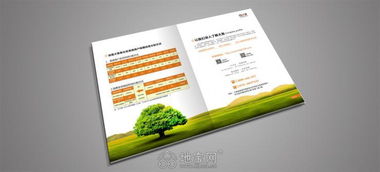 南昌專業(yè)平面設(shè)計(jì)服務(wù) 畫冊(cè)、產(chǎn)品包裝與logo設(shè)計(jì)大優(yōu)惠